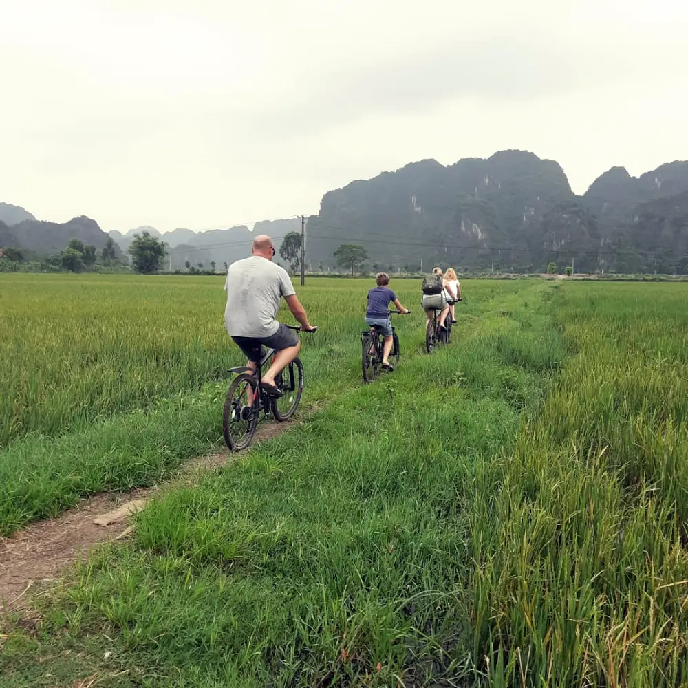 Biking through rice field of Trang An