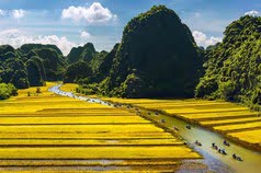 Tam Coc area