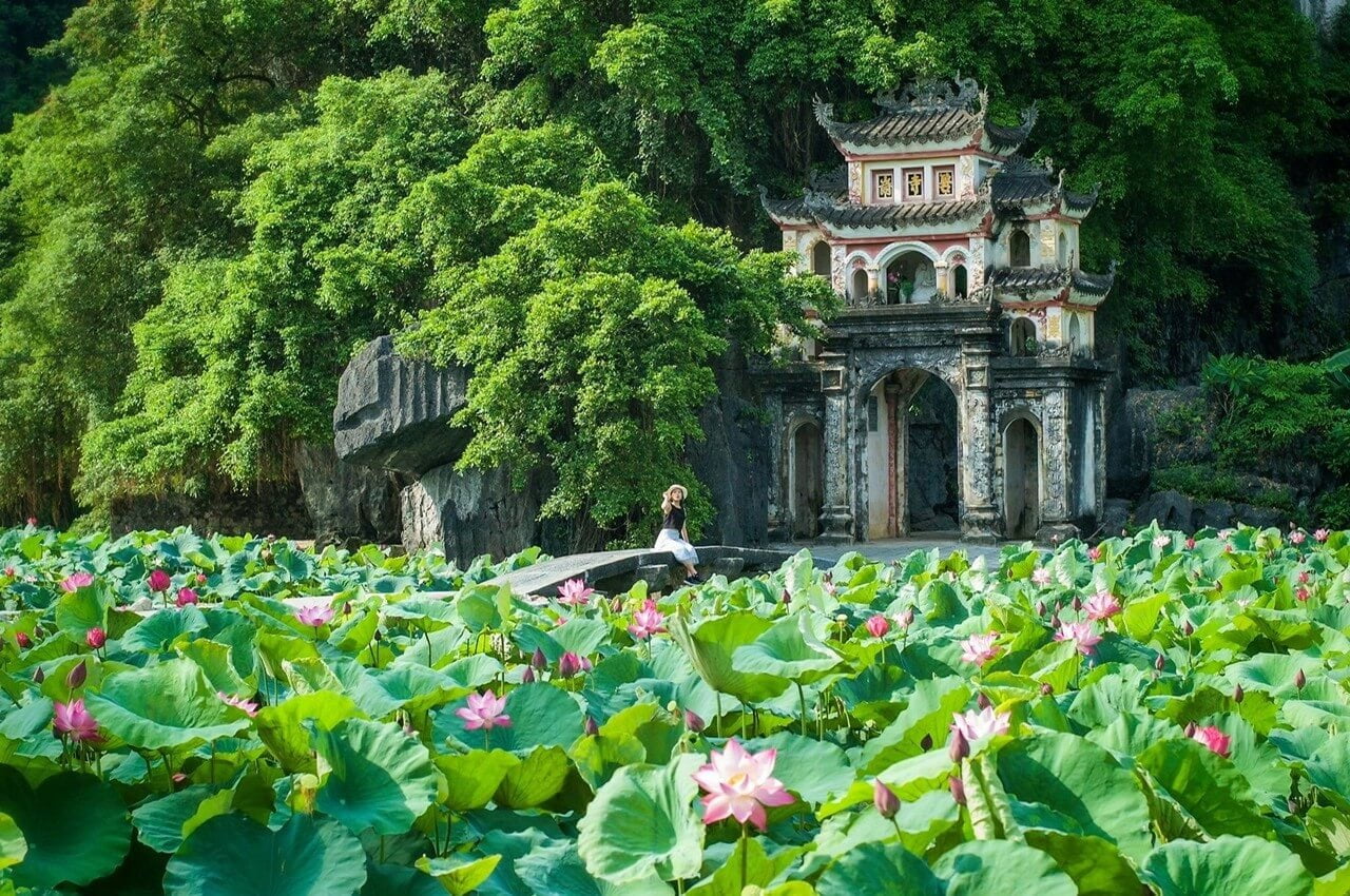 The lotus pond in front of Bich Dong Pagoda, Ninh Binh