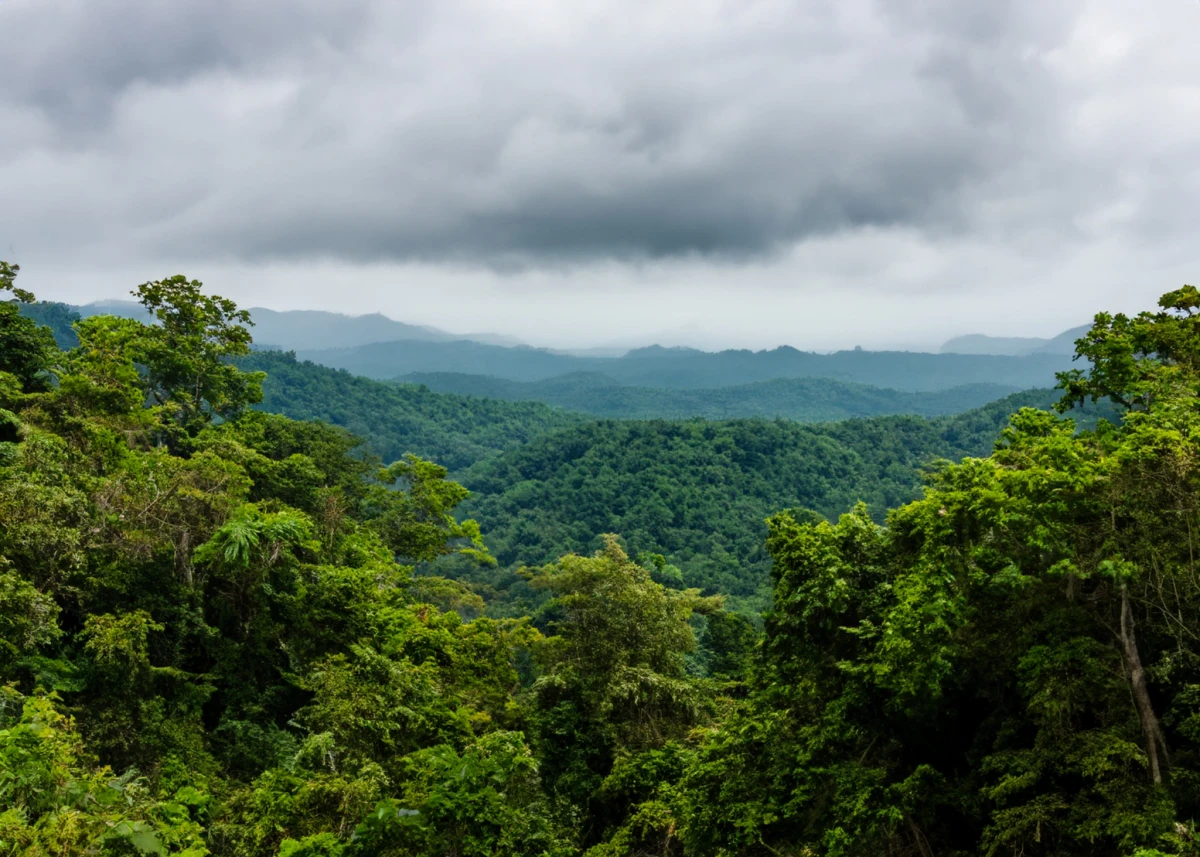 Cuc Phuong National Park, Ninh Binh
