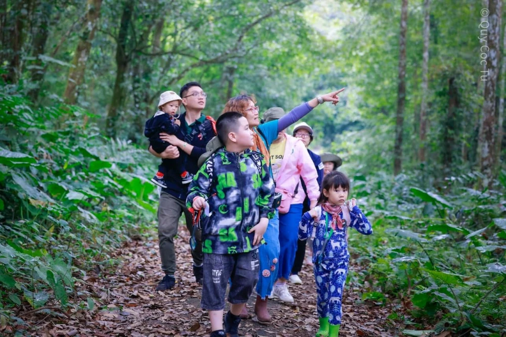 Trekking in Cuc Phuong National Park