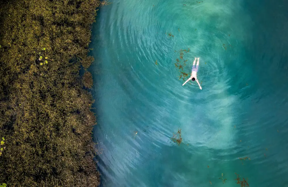 Swimming in Van Long Nature Reserve