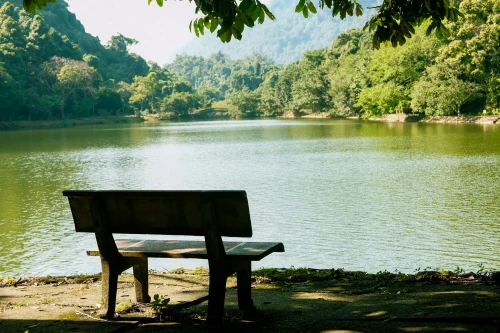 Cuc Phuong national park
