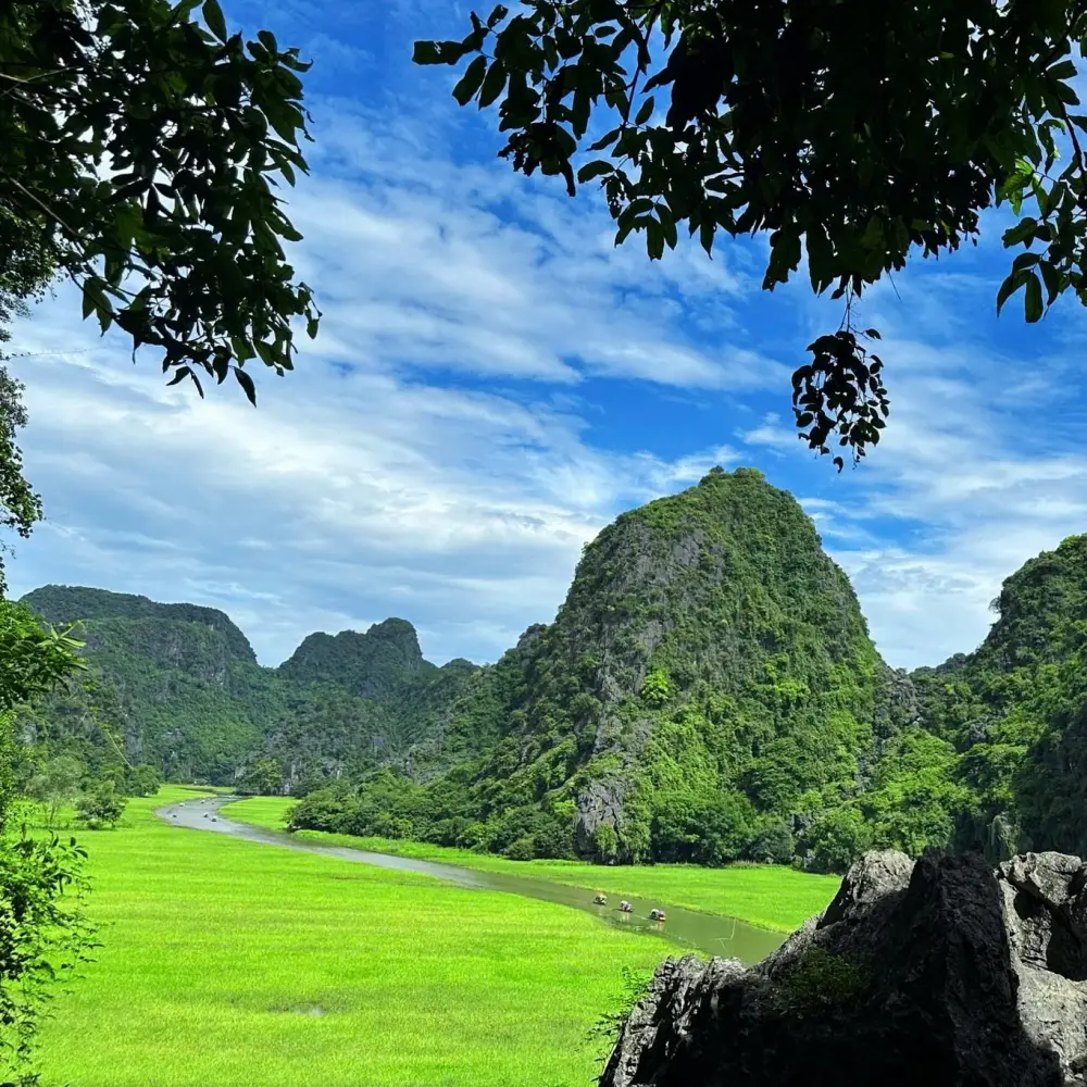 Tam Coc paddy fields cover in green of young rice