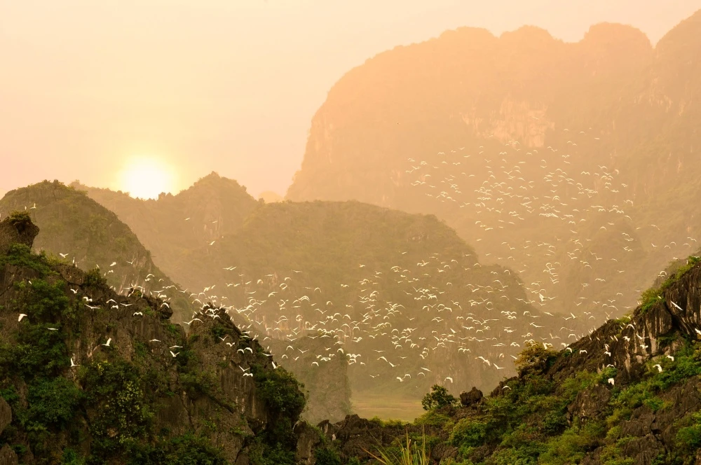 Bird Valley Ninh Binh
