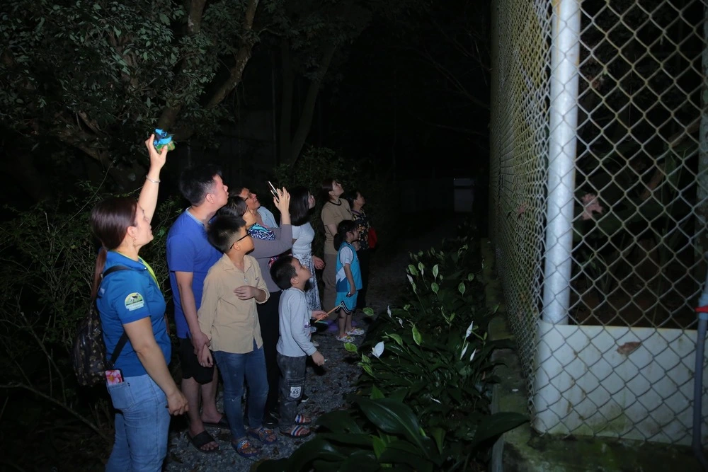 People on a night tour in Cuc Phuong National Park