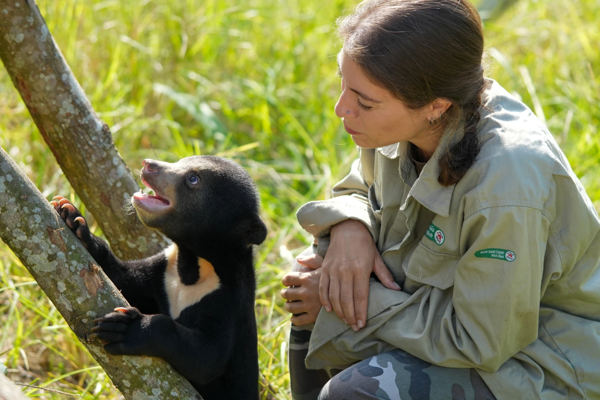 Ninh Binh Bear Sanctuary