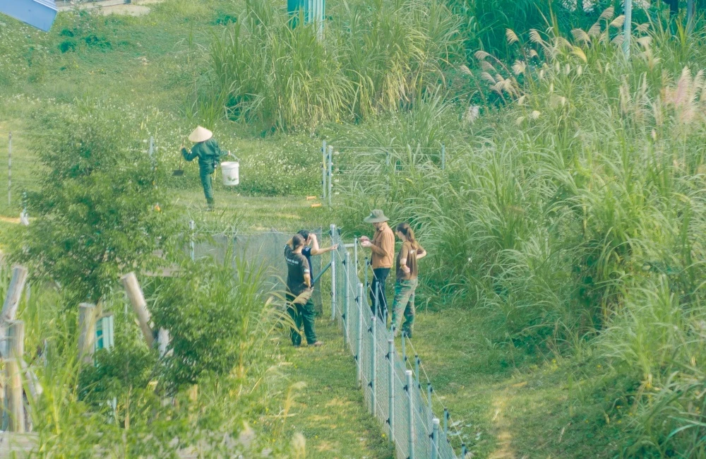Staff building fences in the sanctuary