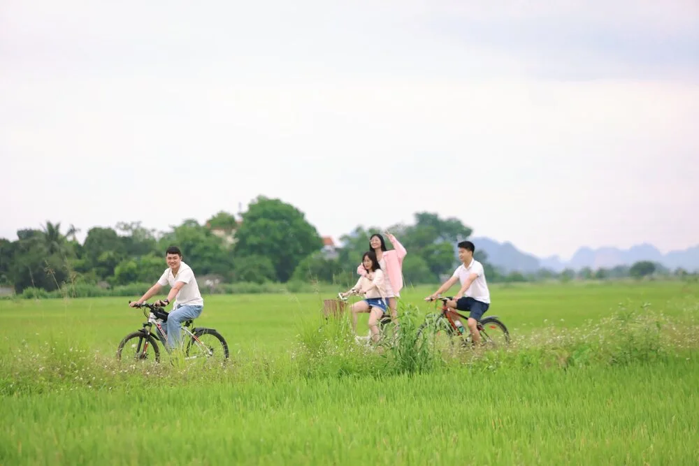 Travelers riding bikes through green rice fields – a fun activity in a Ninh Binh 2 days itinerary from Hanoi