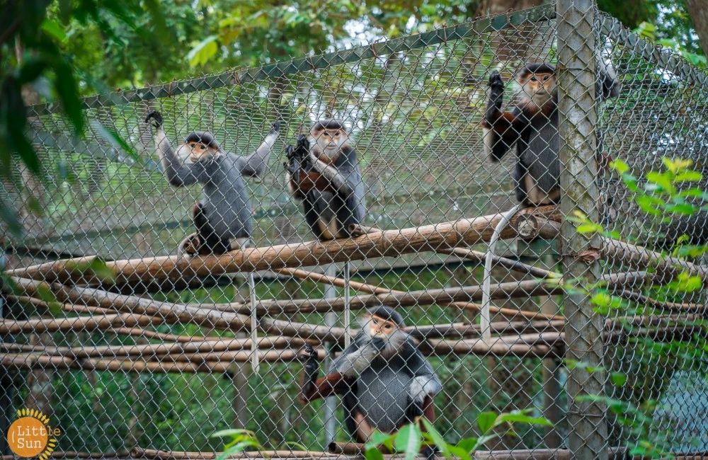 Animals protected in wildlife rescue center