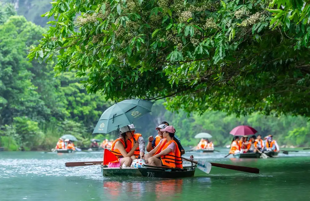 Boat Tours
