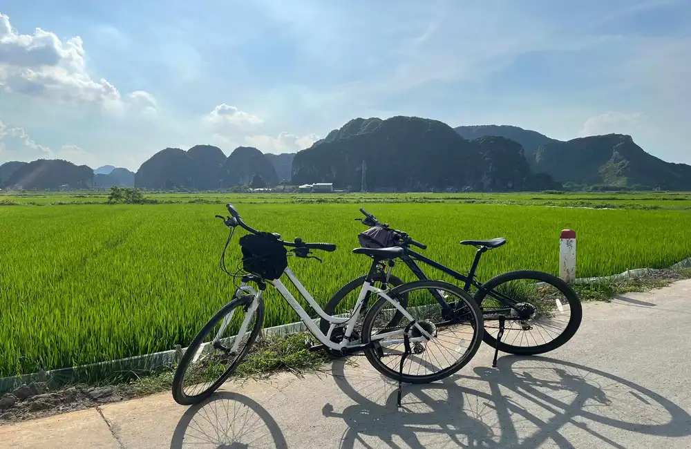 Biking Tours